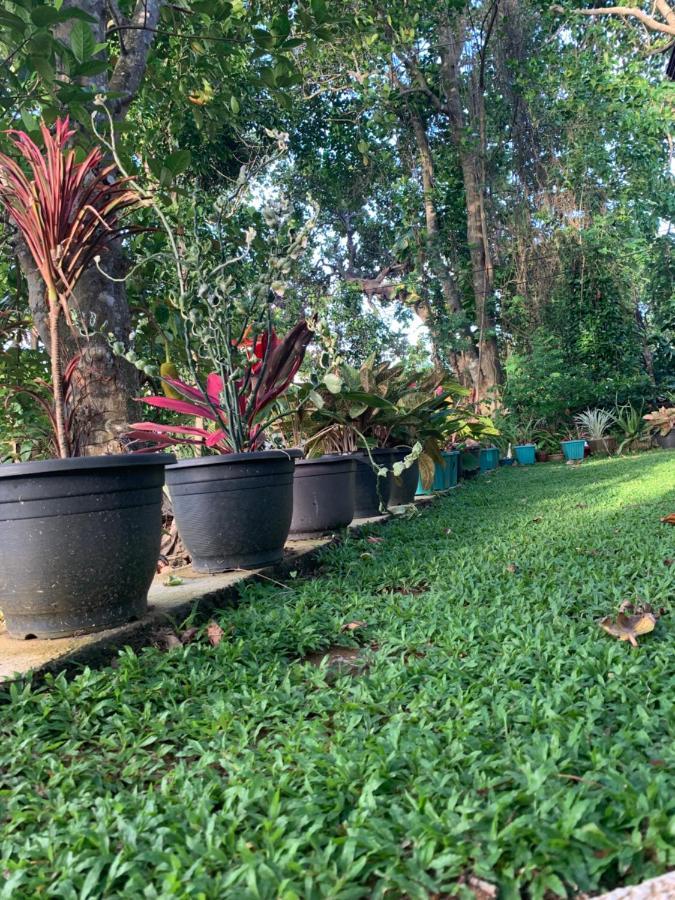 Villa33 Weligama