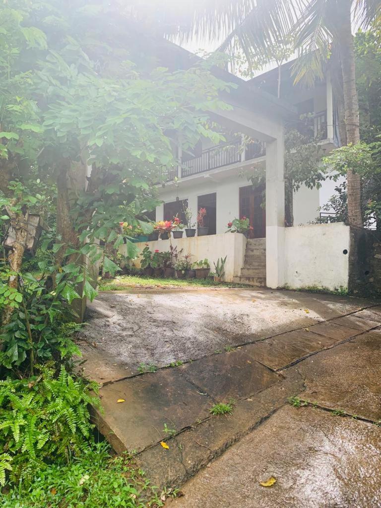 Villa33 विला *