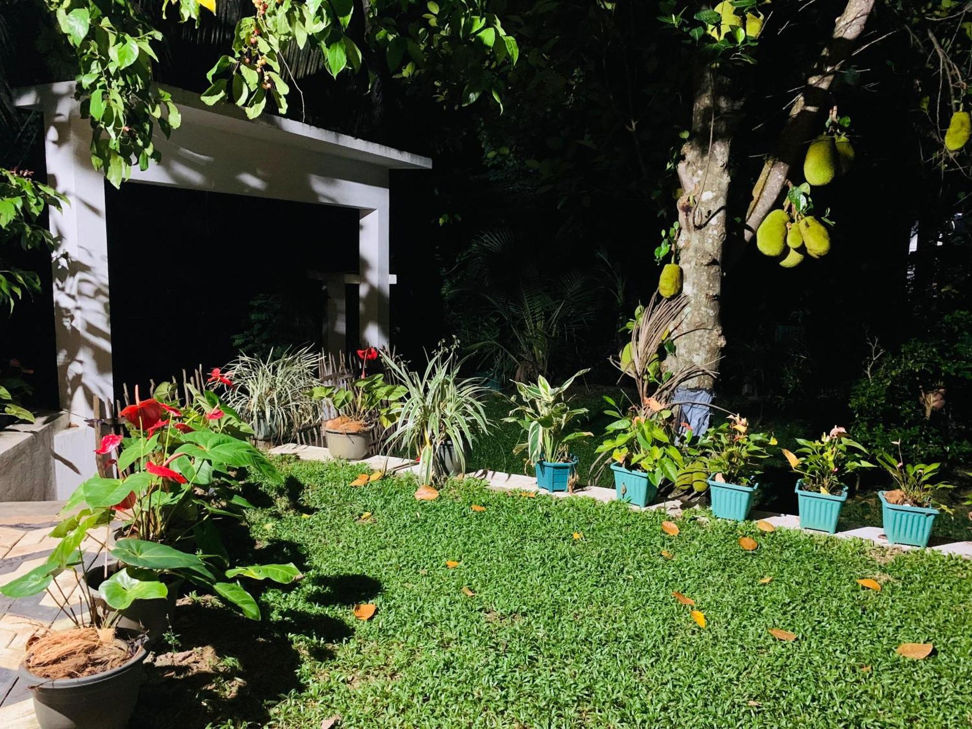 Villa33